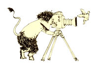 Hier klicken für Diashow